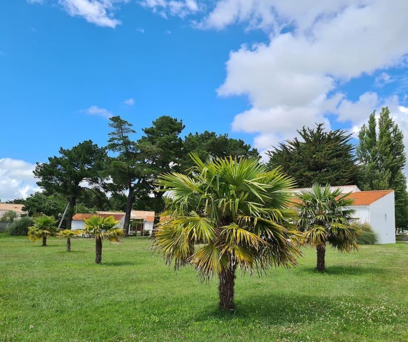 Chez Aurore & Jeremy En Vendee - Jolie Maison Cosy Tout Pres Des Plages De L'Atlantique Сент-Илер-де-Рье Экстерьер фото